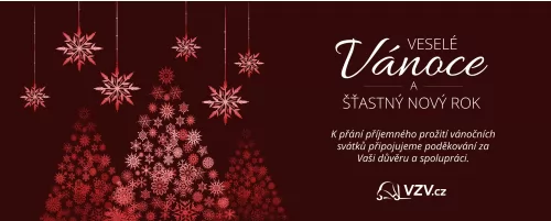 Veselé Vánoce a šťastný Nový rok - 999